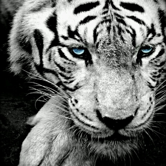 Meet your Posher, S.M. - Picture 1 of 1